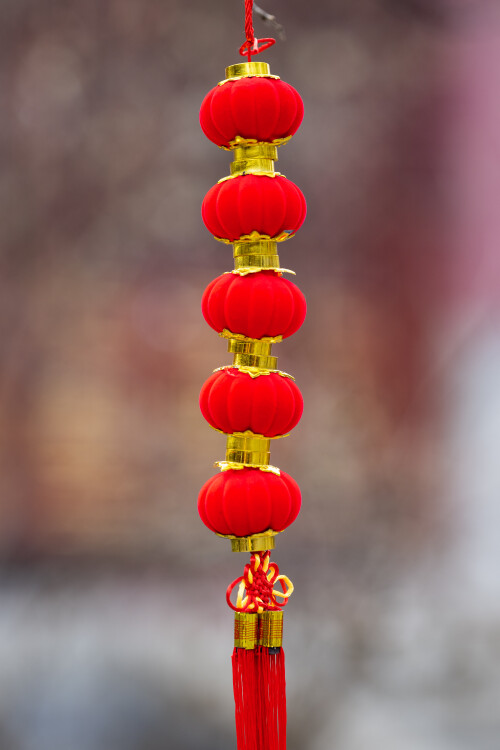 CNY_2025-11.jpg