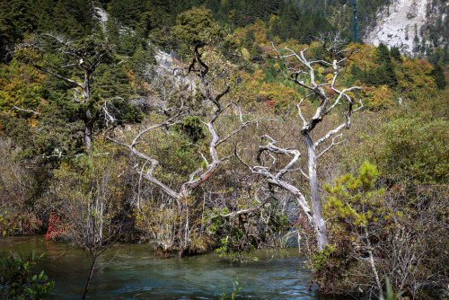 Jiuzhaigou-55.jpg