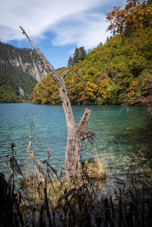 Jiuzhaigou-60.jpg