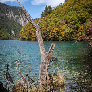 Jiuzhaigou-60