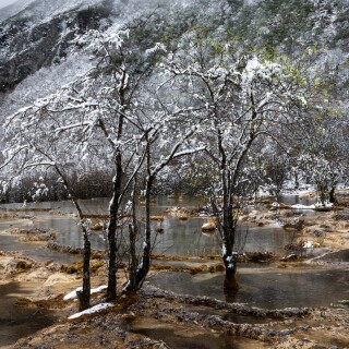 Jiuzhaigou-87