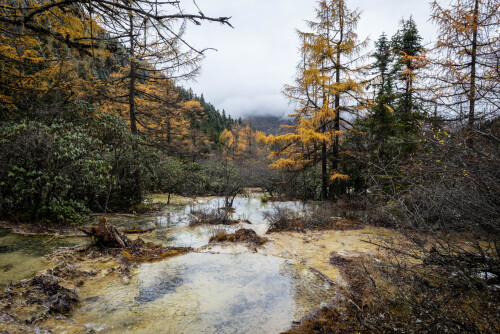 Jiuzhaigou-91.jpg