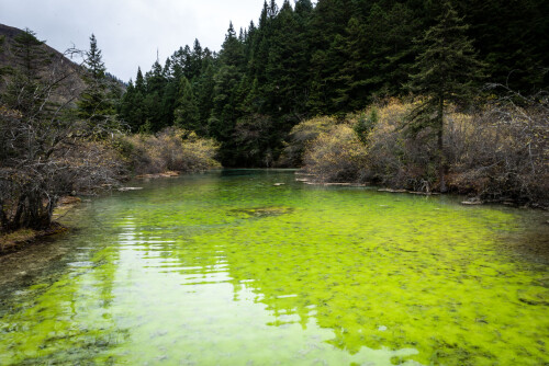 Jiuzhaigou-98.jpg