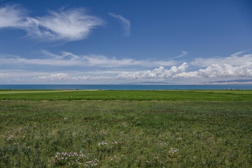 Qinghai_Lake-1.jpg