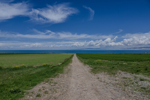 Qinghai_Lake-3.jpg