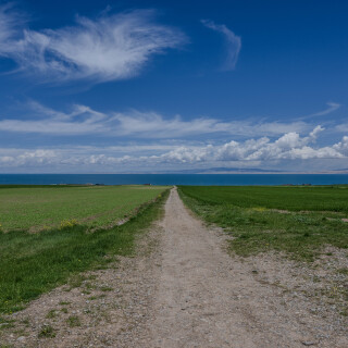 Qinghai_Lake-3
