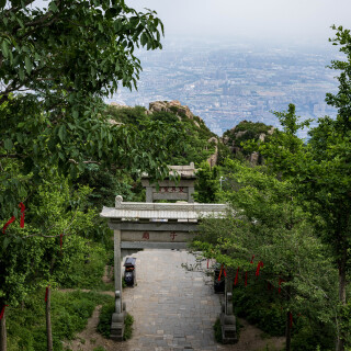 Taishan-16
