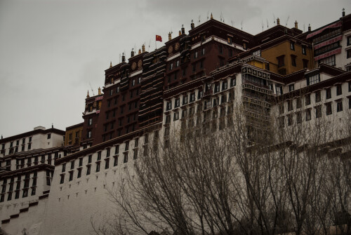 Tibet-21.jpg