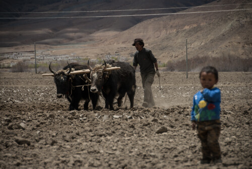 Tibet-232.jpg