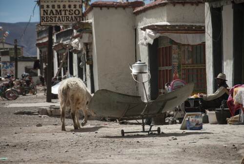 Tibet-275.jpg