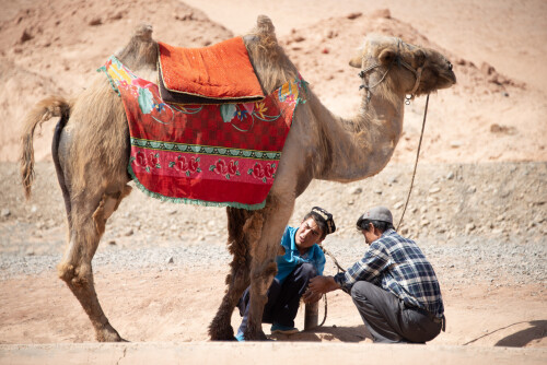 Xinjiang-21.jpg