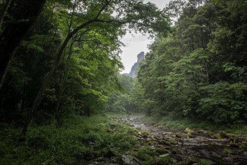 Zhangjiajie-18.jpg
