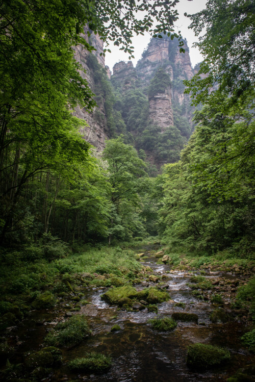 Zhangjiajie-21.jpg