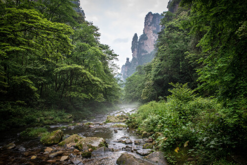 Zhangjiajie-22.jpg