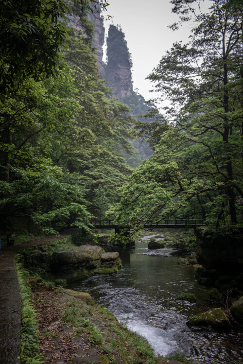 Zhangjiajie-24.jpg