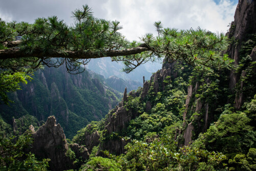 Huangshan-13.jpg