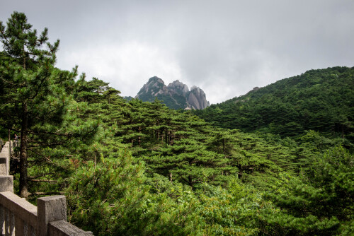 Huangshan-16.jpg
