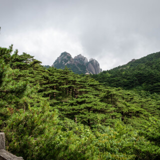 Huangshan-16