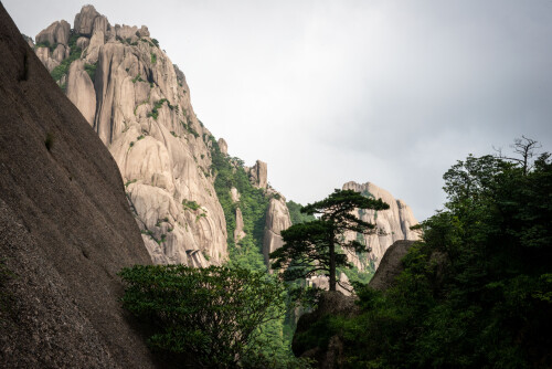 Huangshan-21.jpg