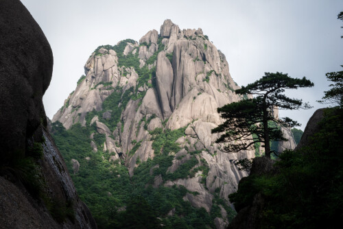 Huangshan-22.jpg